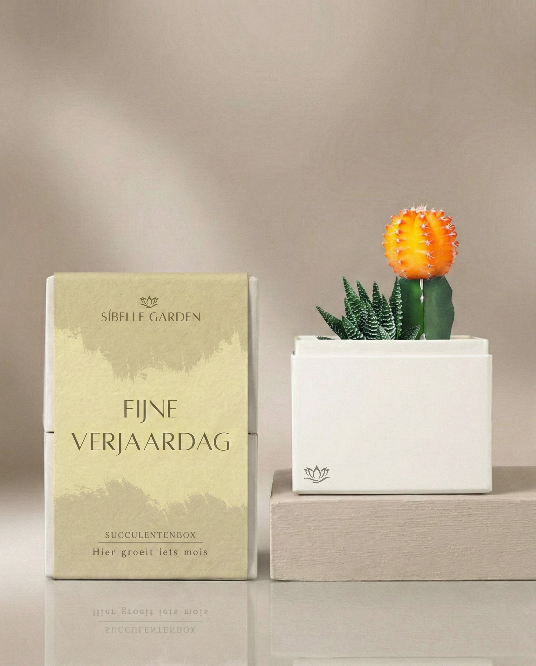 Amber Garden