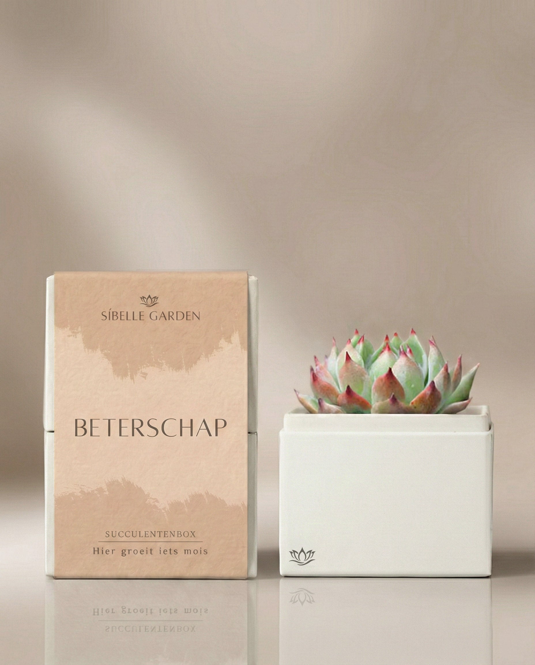 Calma Garden