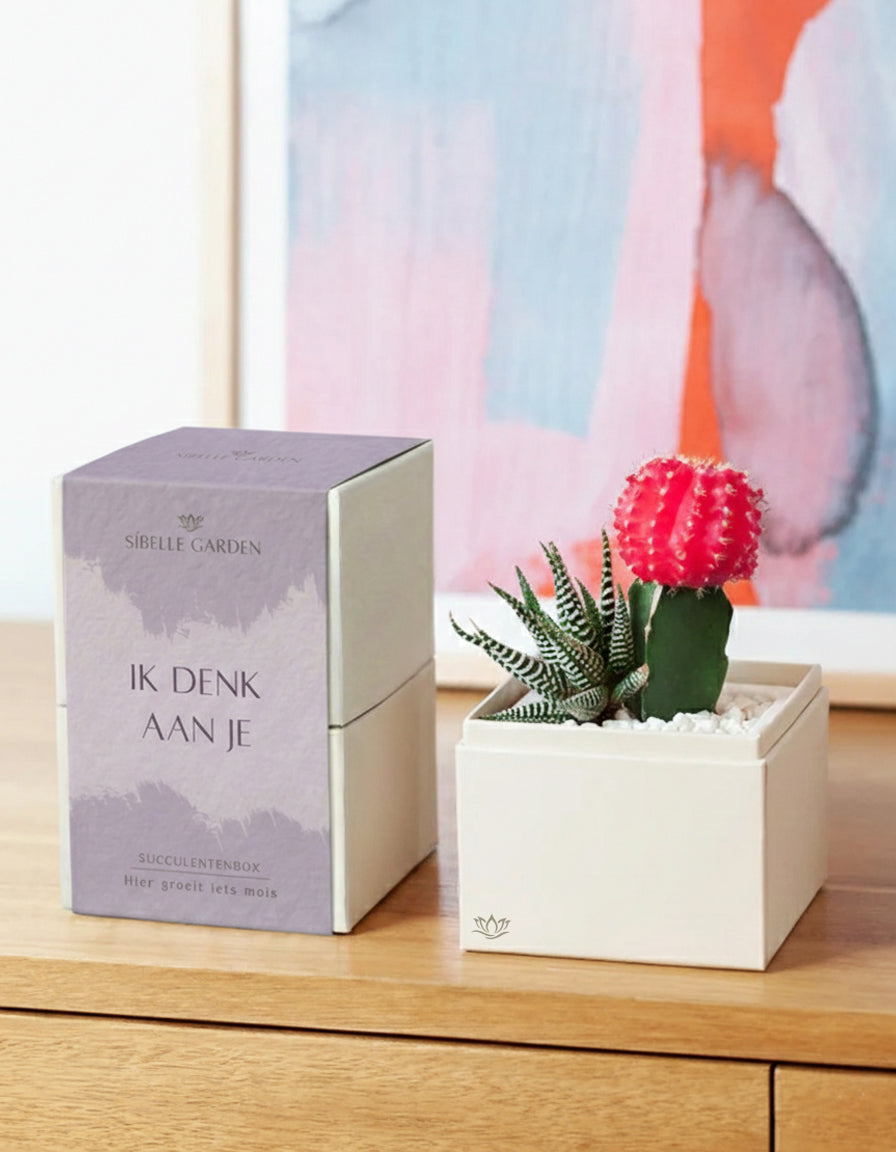Blush Garden