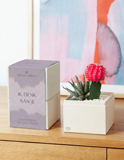 Blush Garden