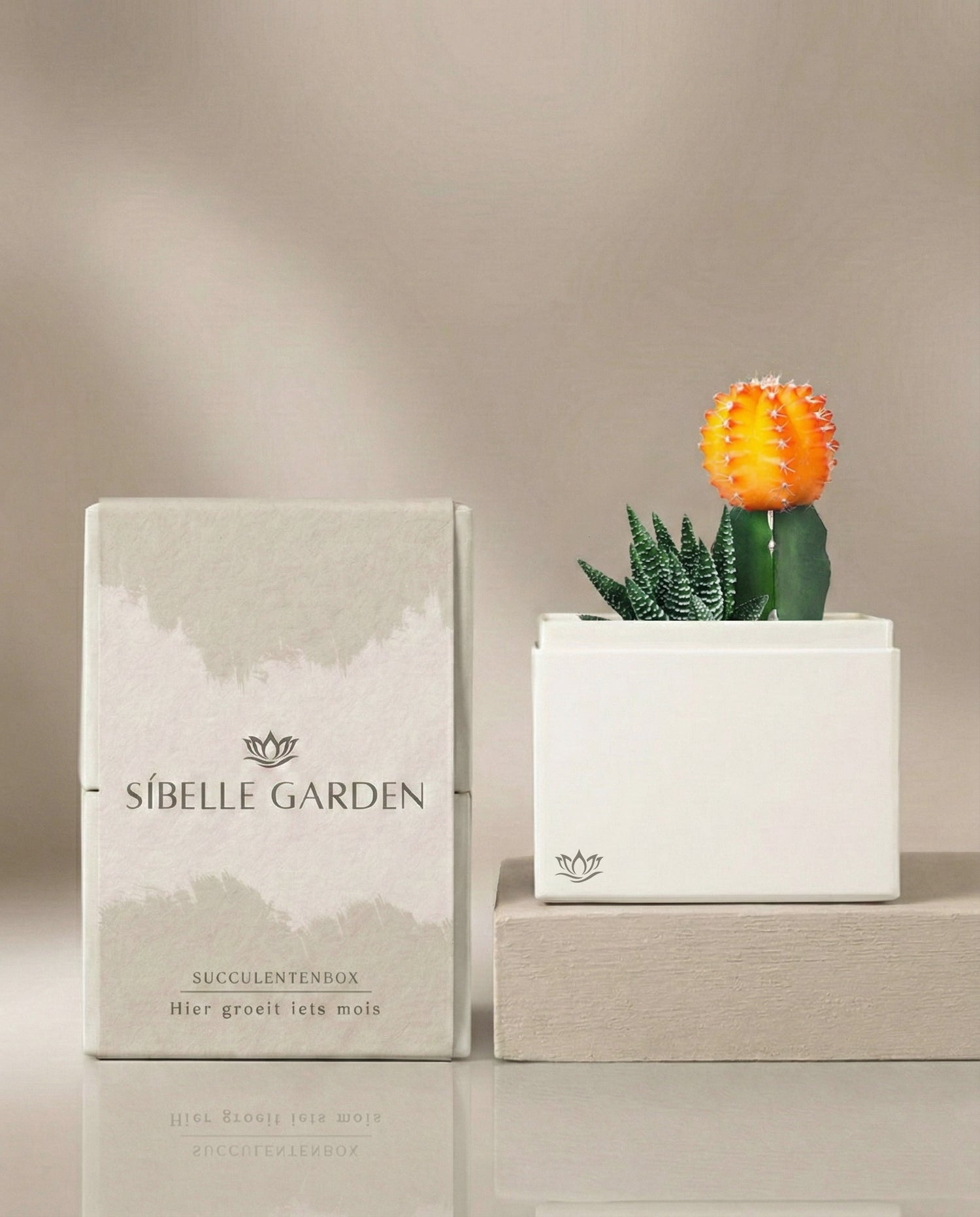 Amber Garden