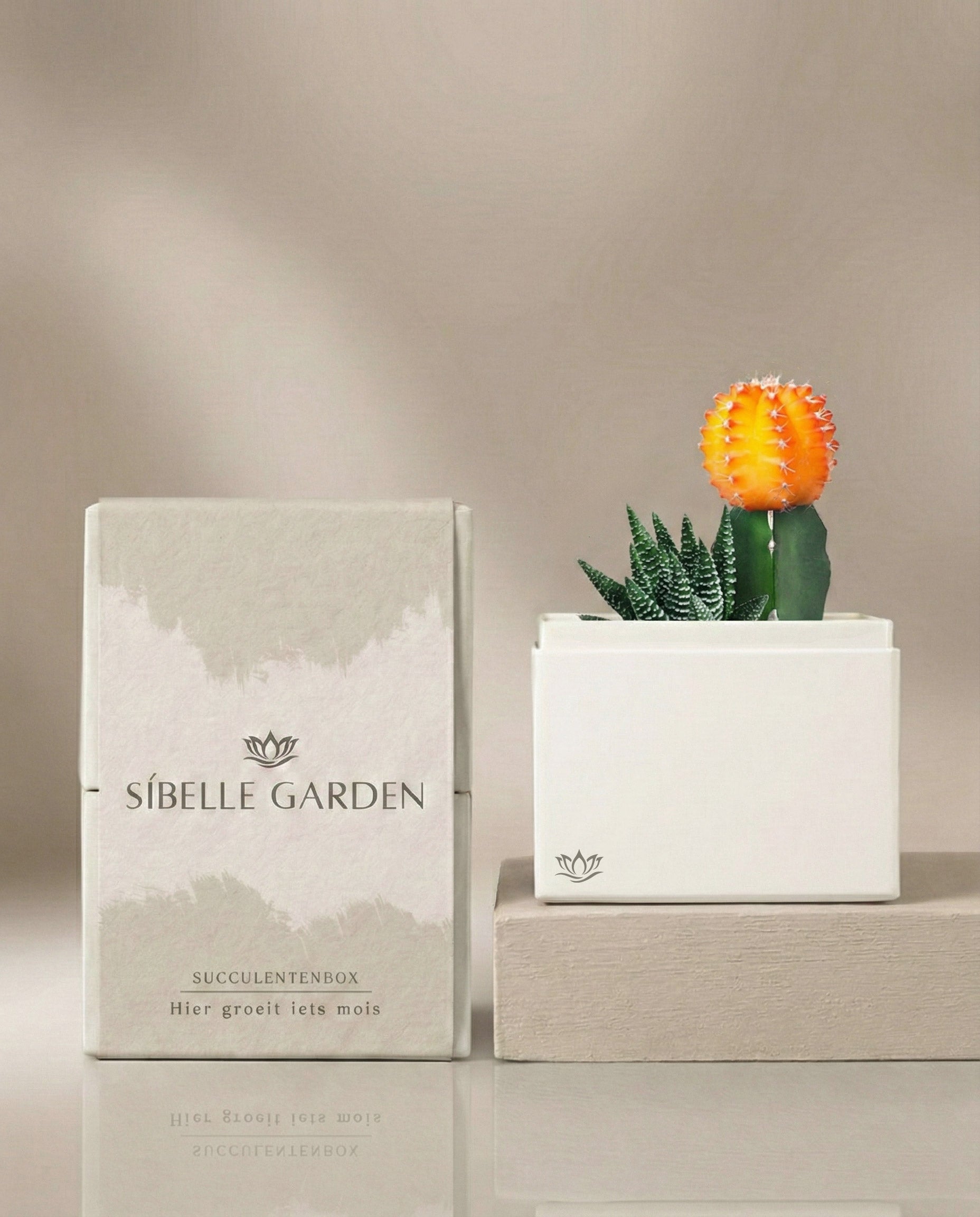 Amber Garden