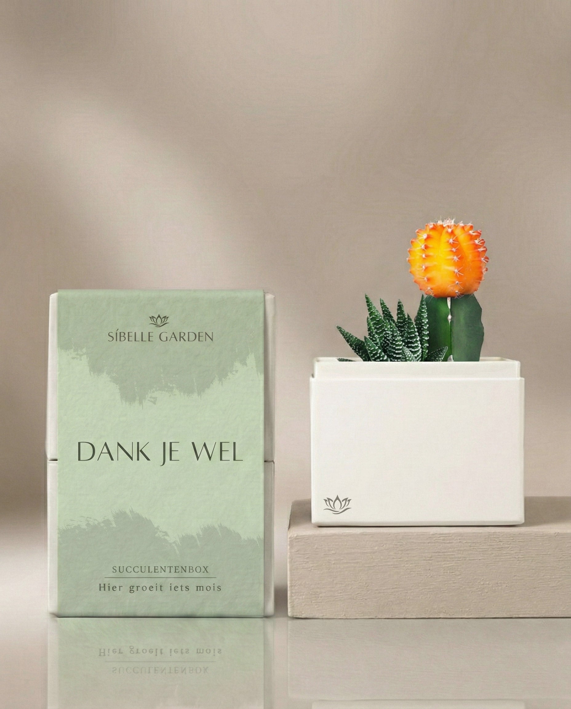 Amber Garden