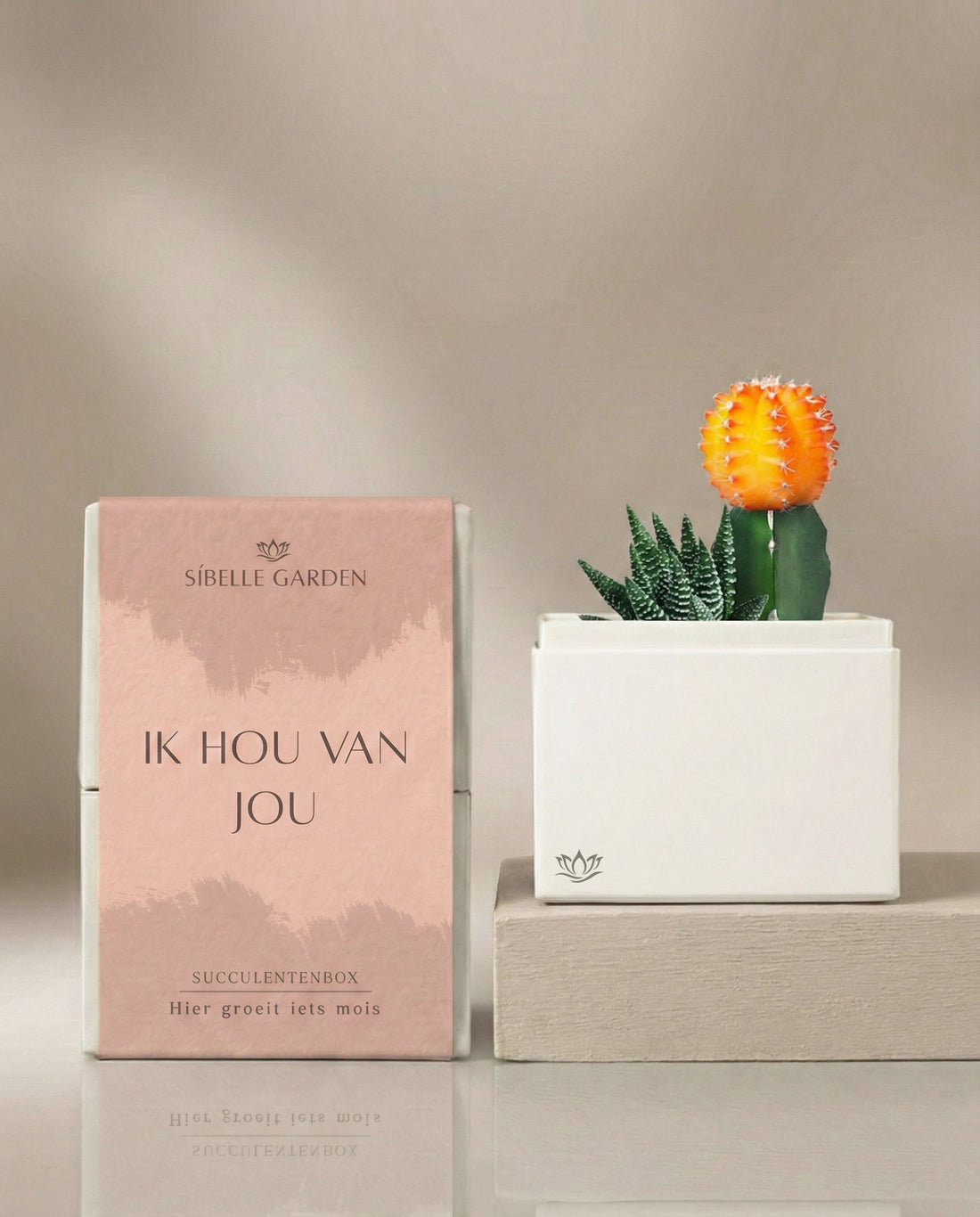Liefde Amber Garden