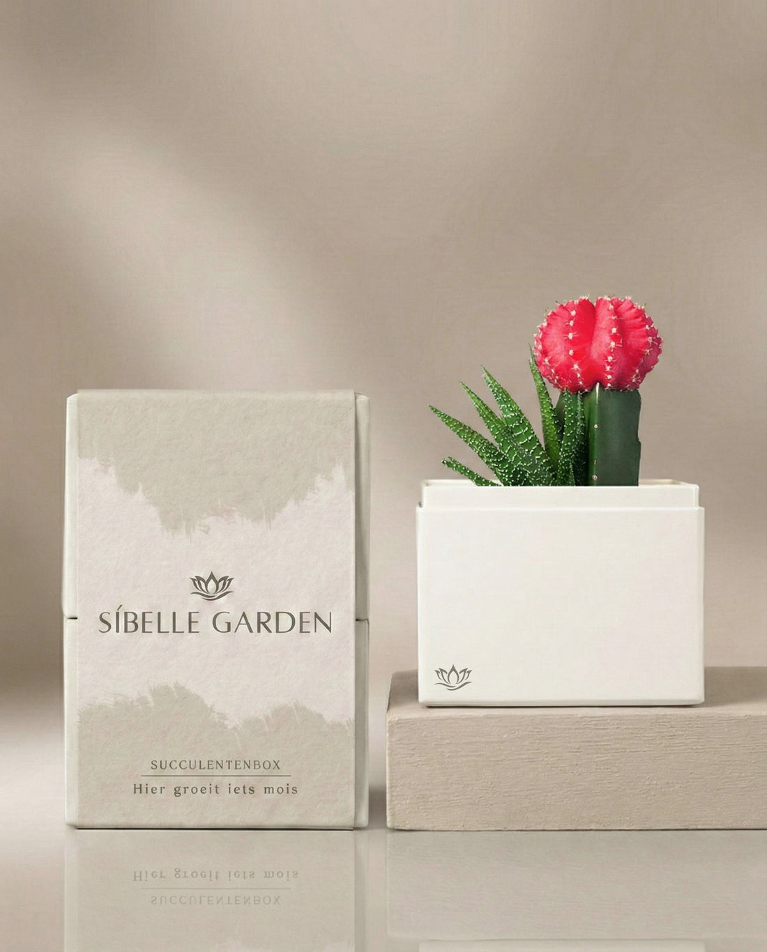 Blush Garden