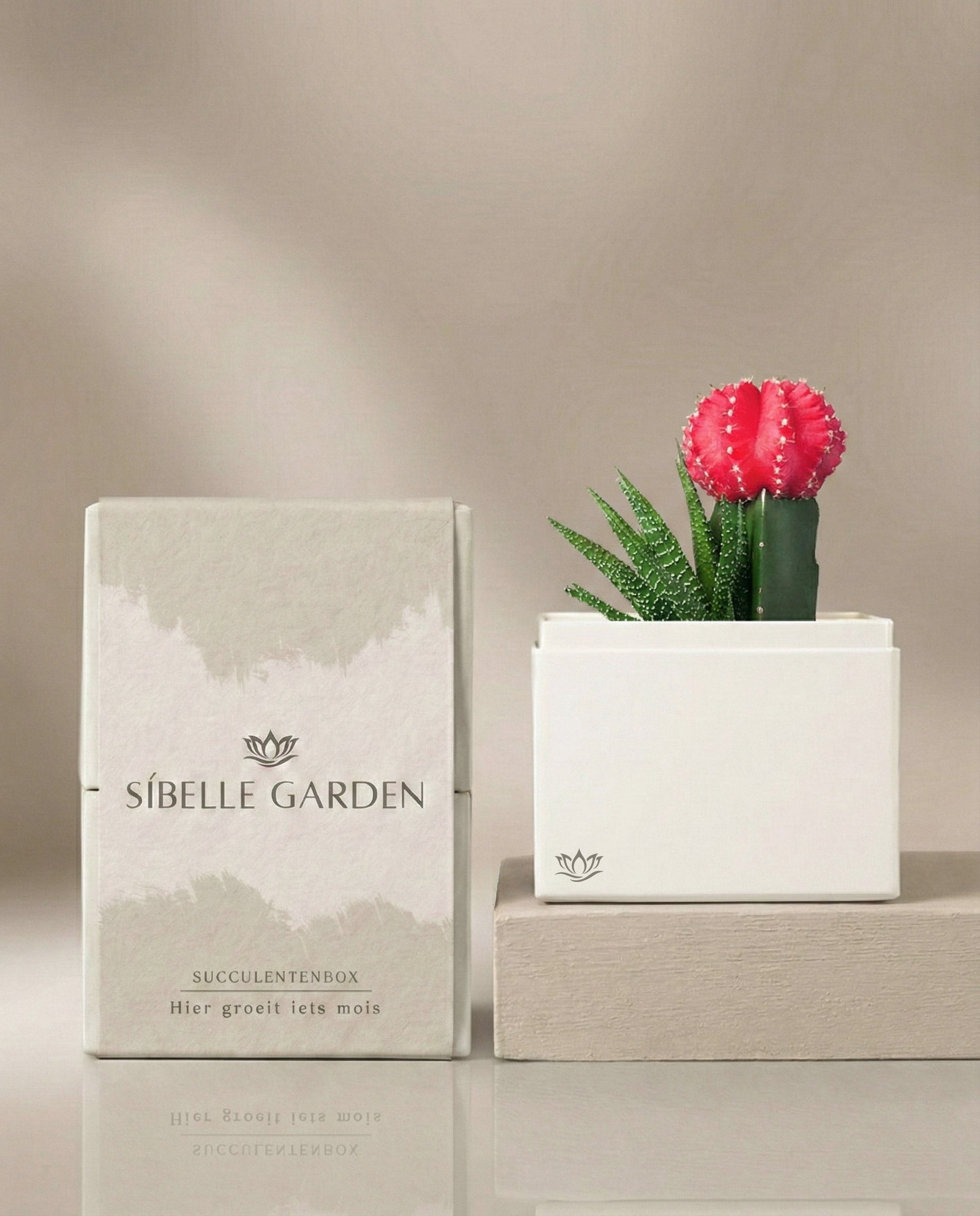 Blush Garden
