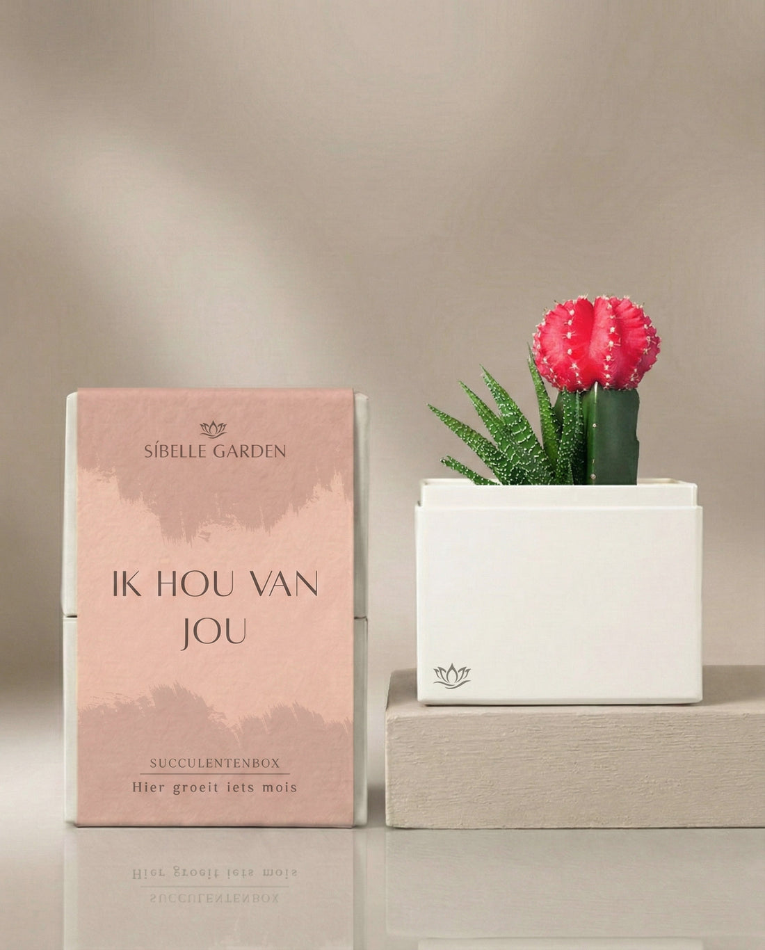 Liefde Blush Garden