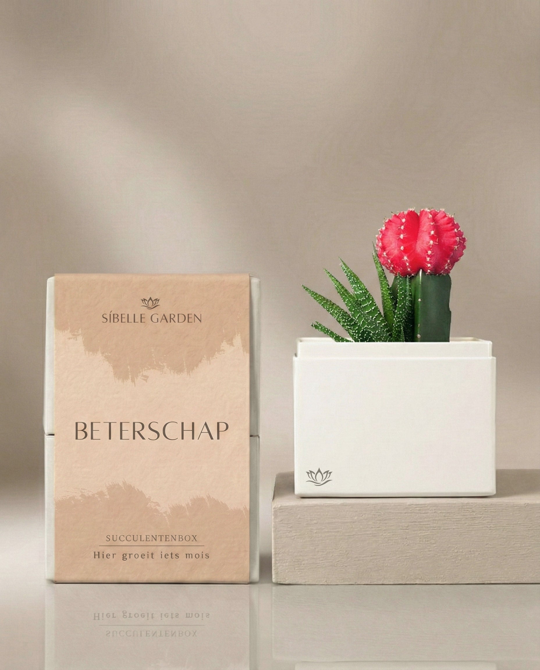 Blush Garden