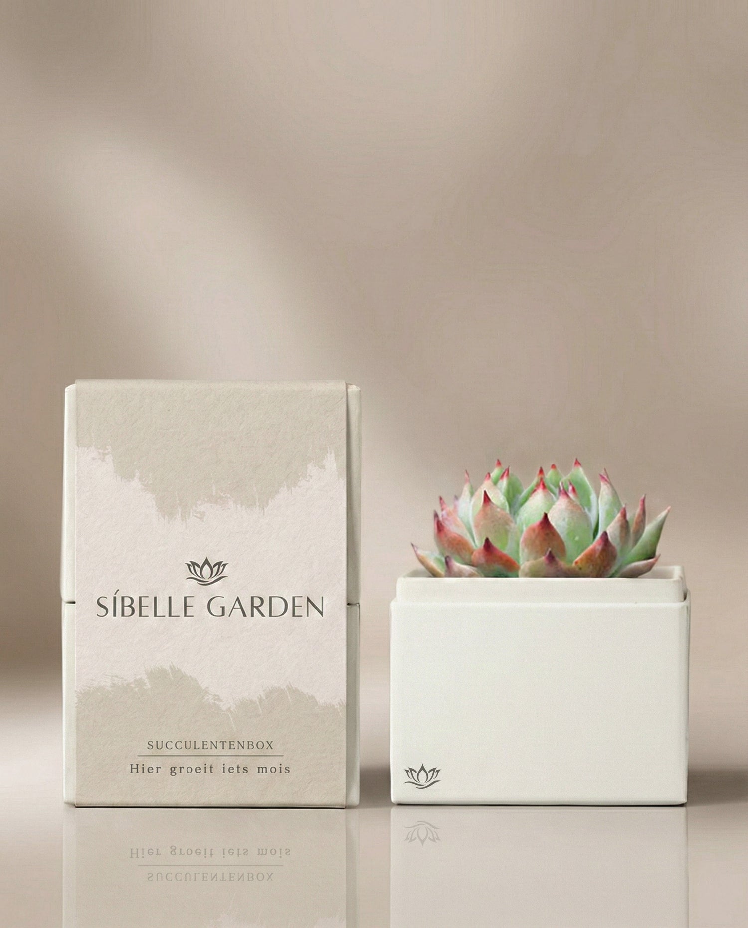 Calma Garden
