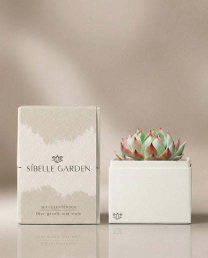 Calma Garden