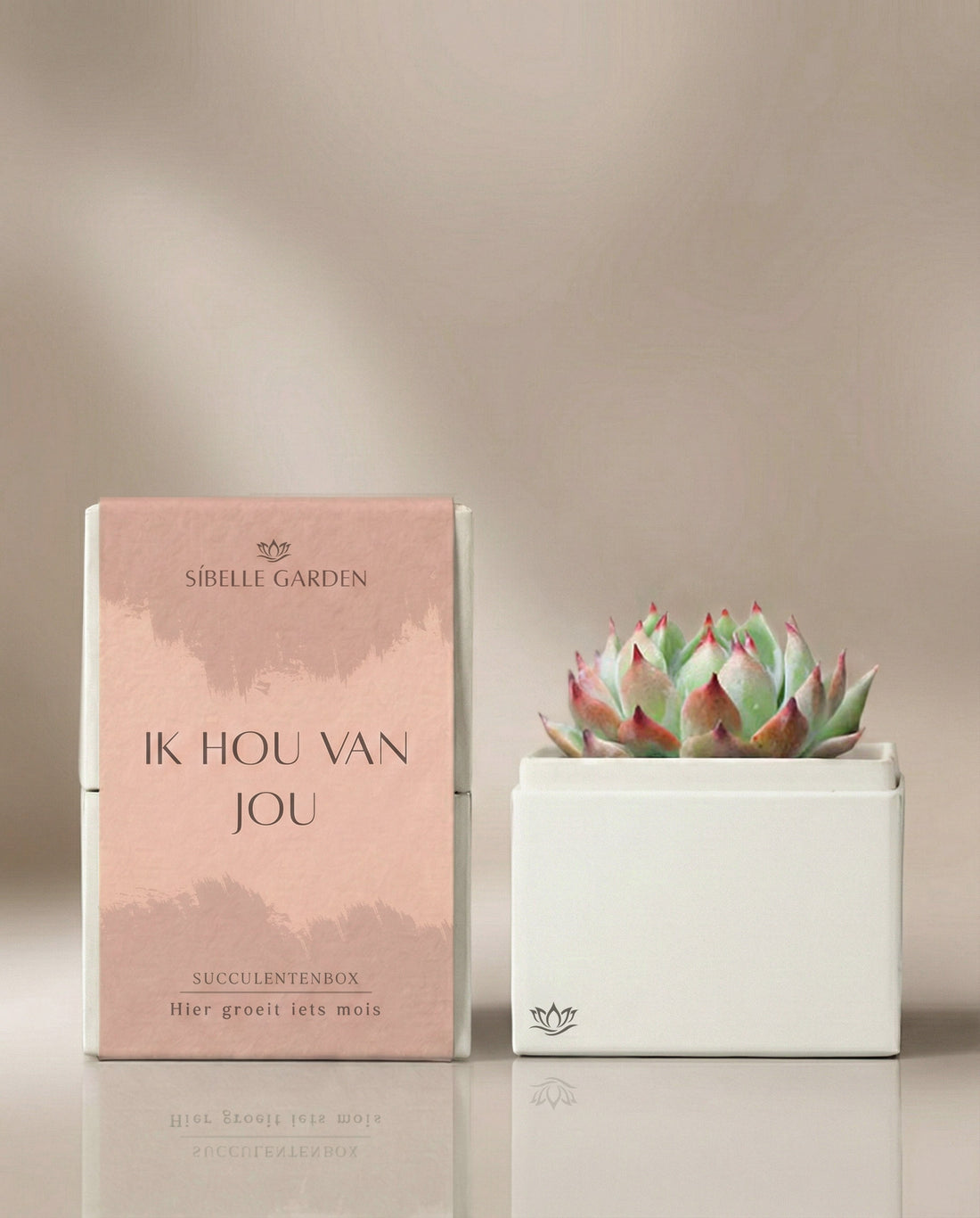 Liefde Blush Garden