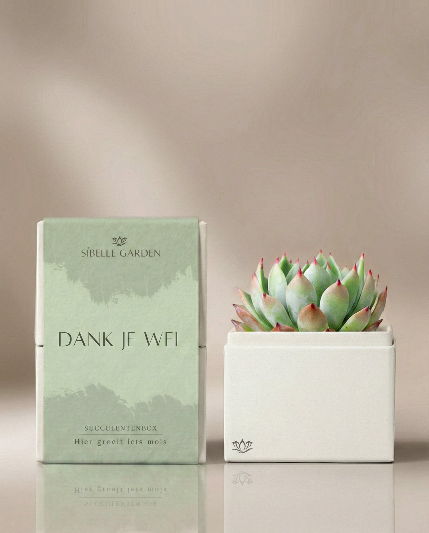 Mira Garden