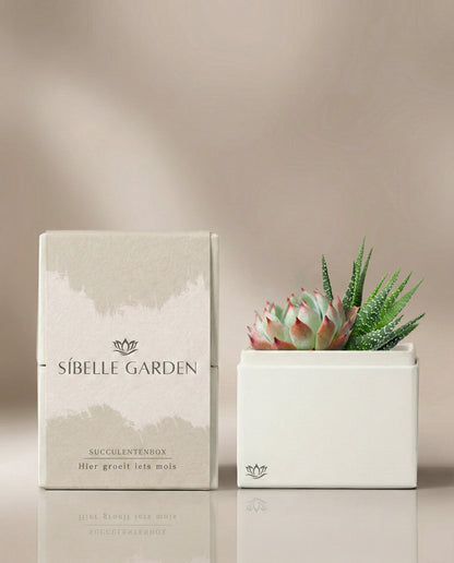 Noor Garden