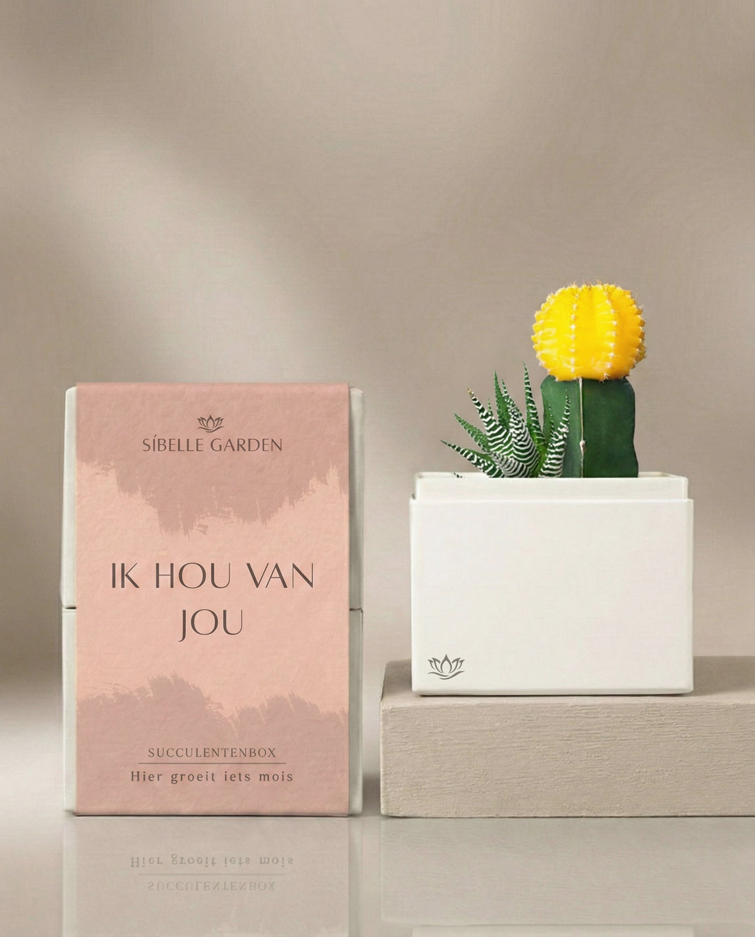 Liefde Sola Garden